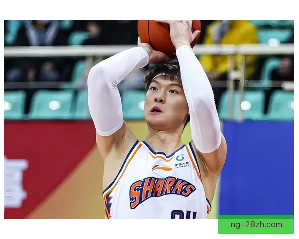 王哲林万分里程碑CBA第六人